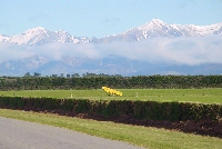 Southern Alps backdrop to the Canterbury plains